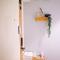 Paper Plane Hostel