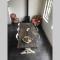 Suite School 15 B - 宗讷迈勒