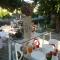 Auberge de la Cauquiere photo 8