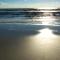Isle be Back! - Hilton Head Island