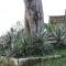 Diani Beachalets