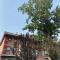 Spring Time Hostel - 北京