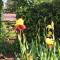 Les deux chemins photo 8