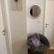 Tomena apartments