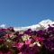 Apartment Swiss Chalet - Saas-Fee