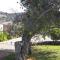 Four Huia