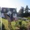 Letterfrack Farmhouse on equestrian farm in Letterfrack beside Connemara National Park - Tullywee Bridge