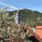 Pension Altes Rathaus