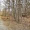 Comfortable Log Home about 4 Mi to Shenandoah River! - 纽马基特