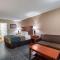 Econo Lodge Inn & Suites Cayce - Cayce