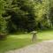 Bradridge Farm
