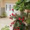 Apartman Aleksic