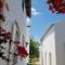 Quinta dos Cochichos - Country Houses