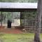 Karri Valley Chalets