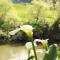 Somersal Bed & Breakfast