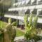 Caloura Hotel Resort