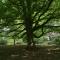 Marlfield House Hotel Relais et Chateaux Marlfield House Hotel Relais et Chateaux