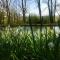 ChambresAPart photo 23