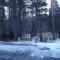 Birch Creek #1 - 1BR/1BA - Down Canyon