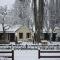 Shades of Arrowtown
