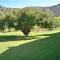 De Oude Meul Country Lodge & Restaurant - Oudtshoorn