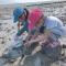 Migrator Intertidal Homestay