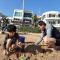 Migrator Intertidal Homestay