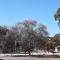 Acclaim Gateway Tourist Park