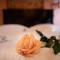 Anastazia Luxury Suites & Spa