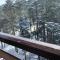 Vila Pekovic, Pine Trees View Apartment with big balcony in The Center of Zlatibor!