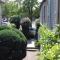 Duplex La Maisonnette 1 chambre - parking gratuit