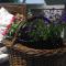 Le Manoir de Crisolles photo 8