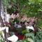 Apartmani Marinka Viskovic