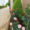 Apartments Roncevic