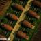 Pacheca The Wine House Hotel e Spa - Quinta da Pacheca