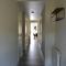 Appartement zeldenrust