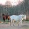 LA DEMEURE photo 11