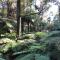 Emerald Creek Cottages - Emerald