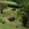 Fazenda Carpas Douradas