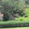 Fazenda Carpas Douradas