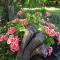 Hillside Bed and Breakfast