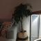 Stylish Ground Floor Maisonette