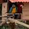 Jungle Lodge El Jardin Aleman