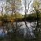 Forest Farm photo 20