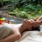 Hotel Tjampuhan Spa - Убуд