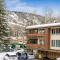 Little Nell Condo #3 - أسبين