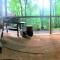 Mountain Laurel Cottage at Hearthstone Cabins and Camping - Pet Friendly
