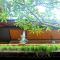 Candra Asri Bungalow! Free Early Check In! Candra Asri Bungalow! Free Early Check In!