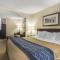 Comfort Inn & Suites Edson - Edson