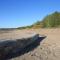 Excellent log house with a sauna in Lahemaa!